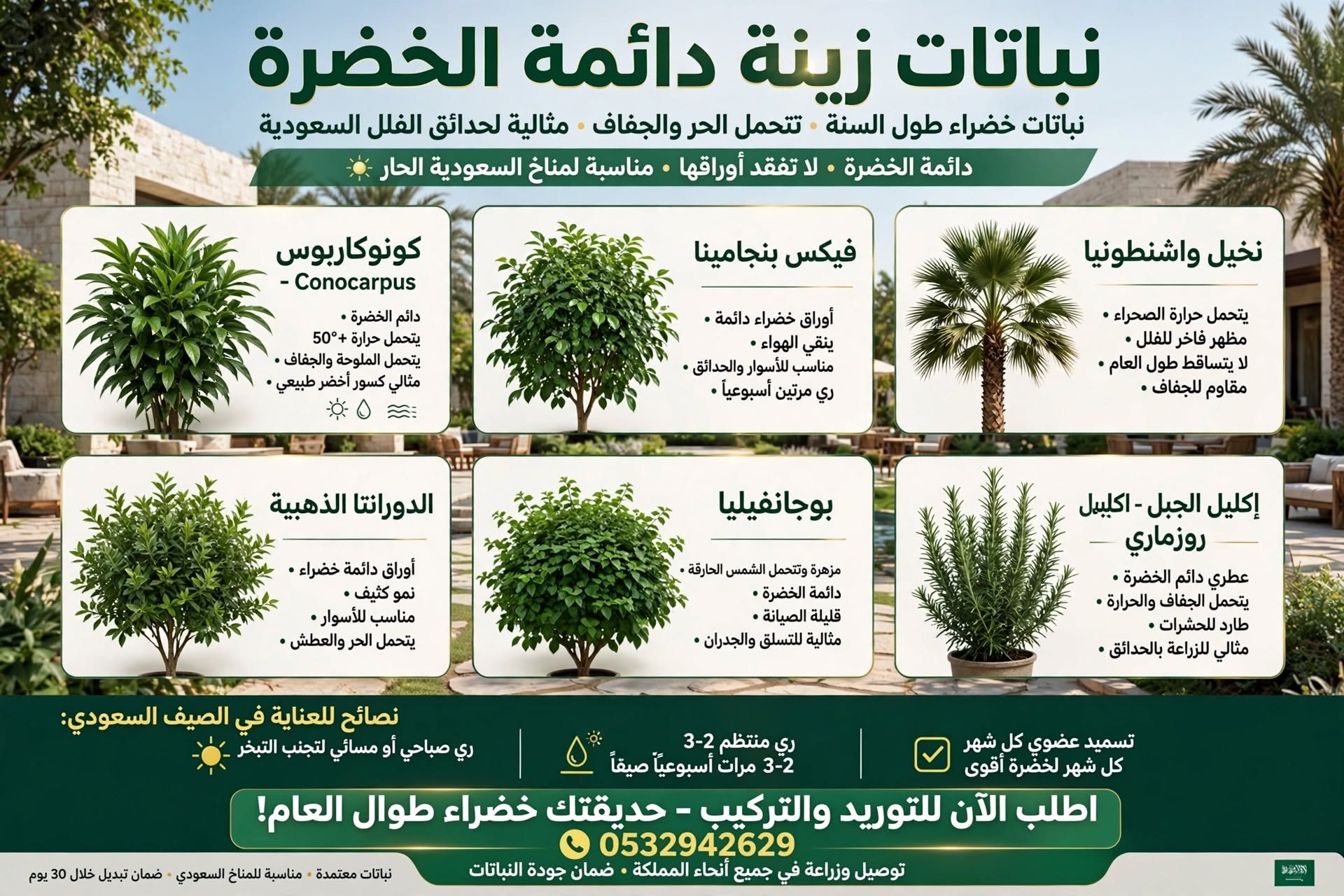 نباتات زينة دائمة الخضرة